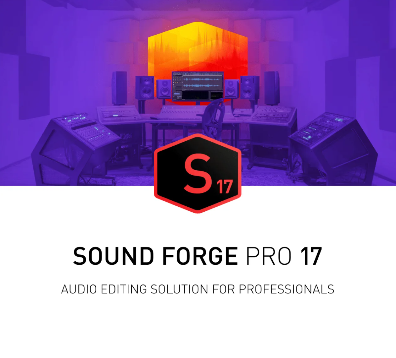 Magix SOUND FORGE Pro      17